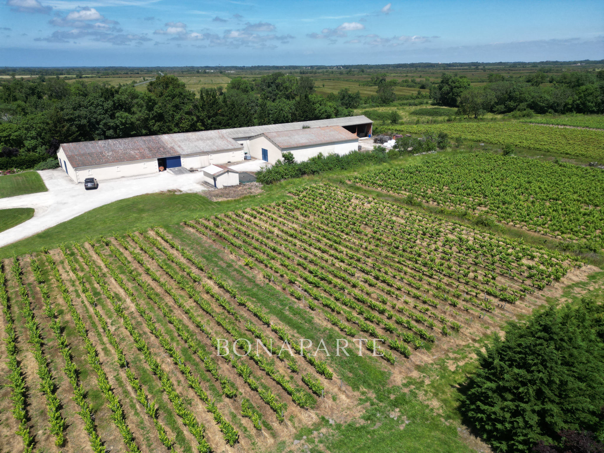 Agence immobilière de RESEAU BONAPARTE