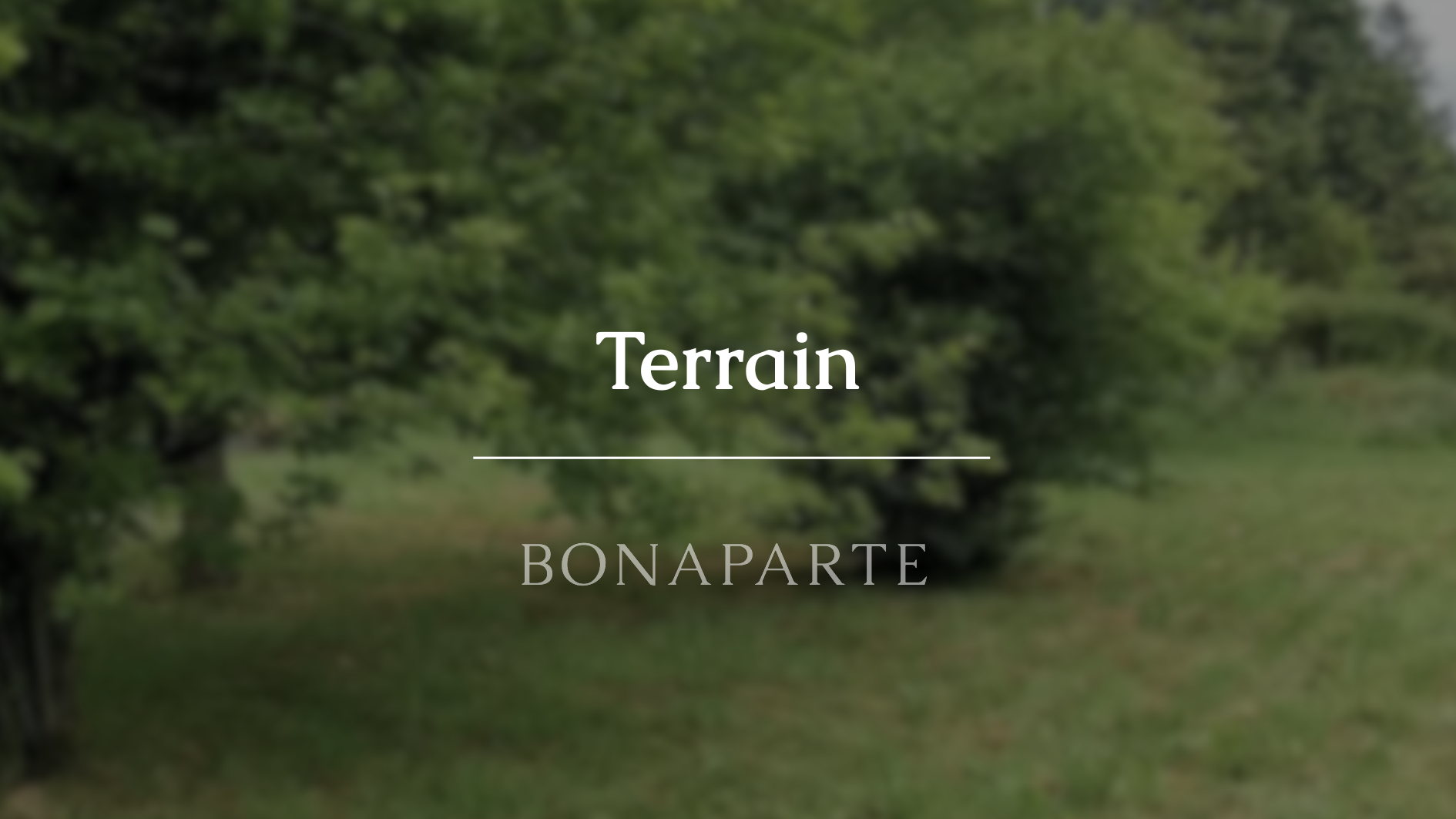 Agence immobilière de RESEAU BONAPARTE